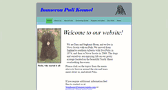 Desktop Screenshot of immerzupuli.com